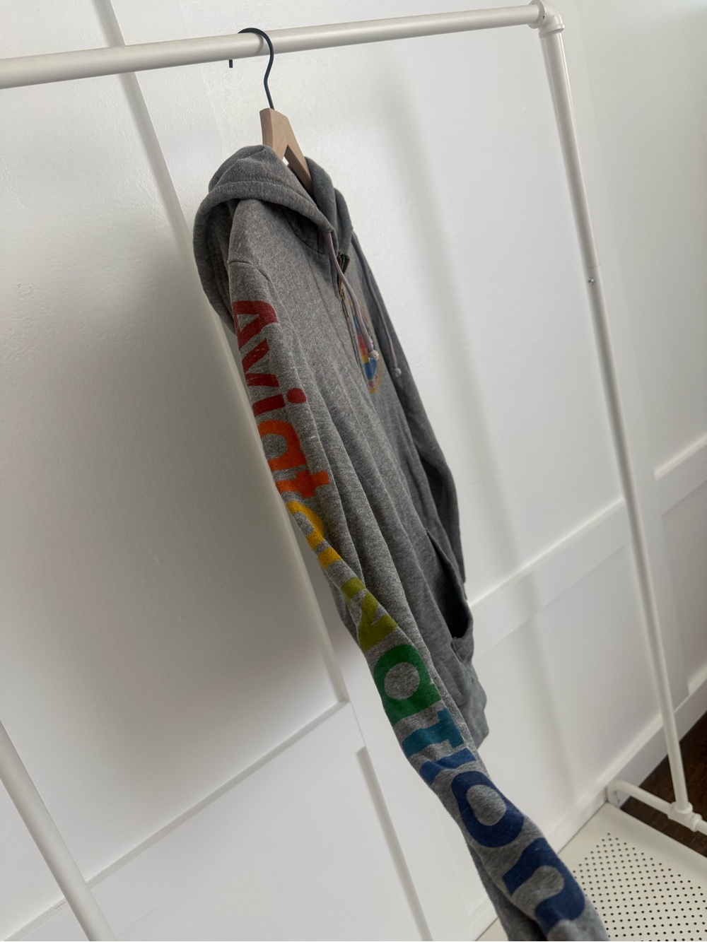 Aviator Nation Gray Zip Up Hoodie - Picture 3 of 5